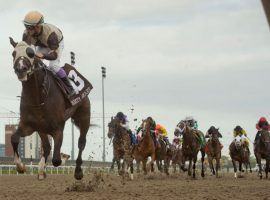 One-eyed Mighty Heart made his rivals see dirt en route to his dominant Queen's Plate victory. He is the 7/5 favorite for the Canadian Triple Crown's second leg -- the Prince of Wales Stakes. (Image: Michael Burns/Woodbine)