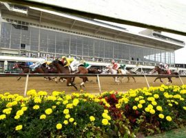 Jockeys hoping to experience the rush of a Preakness stretch run must undergo COVID-19 testing in Maryland no later than 72 hours before their first race Preakness weekend. (Image: Pimlico Race Course)