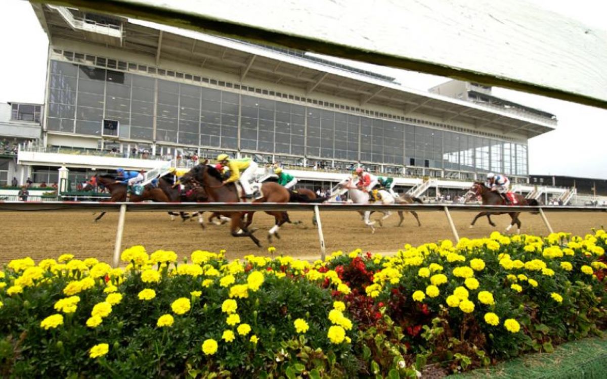 Pimlico-Preakness Protocols