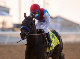 Victor Espinoza geared down Princess Noor after she ran away from her rivals in the Del Mar Debutante. She looms large in Saturday's Chandelier Stakes at Santa Anita Park. (Image: Benoit Photo)