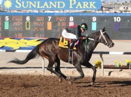 A gutty, home-bred with good early speed, Rowdy Yates seeks to become only the third Oklahoma-bred to win the Oklahoma Derby. (Image: Coady Photography)