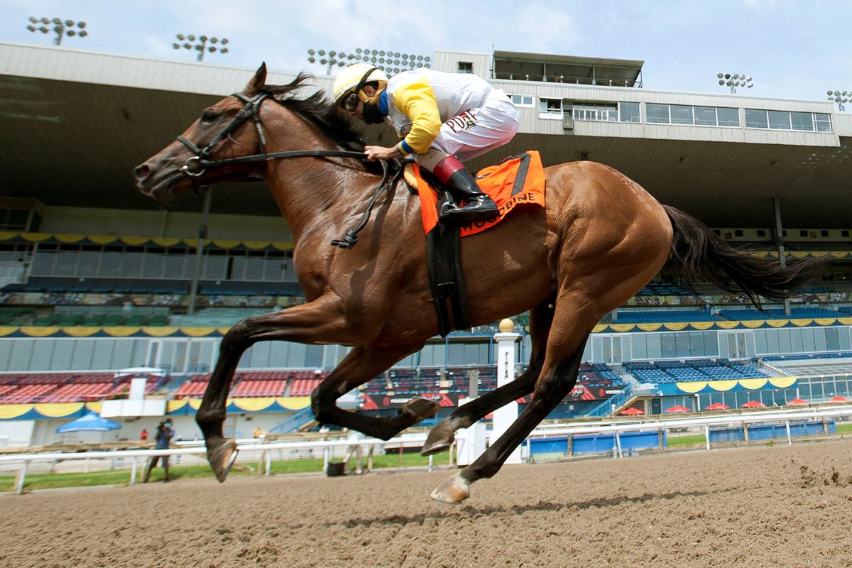 Shirl's Speight-Woodbine Mile