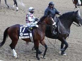 Finishing second in the Kentucky Derby took more out of Tiz the Law than his victories did. He'll skip the Preakness Stakes and focus on the Breeders' Cup Classic Nov. 7. (Image: Jamie Squire/Getty)