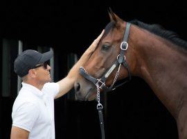 Art Collector has taken trainer Tommy Drury Jr. on the ride of his life this year. He's the 5/2 second choice in Saturday's Preakness Stakes. (Image: Wendy Wooley)