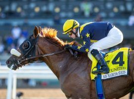 United owns six victories in 15 career starts, including the Grade 2 San Marcos Stakes. He is the expected favorite in Sunday's John Henry Turf Championship at Santa Anita. (Image: Benoit Photo)