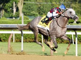 Standout sprinter Volatile retired Monday after a leg injury. His July victory here in the Grade 1 Vanderbilt marked his sixth and final race. (Image: Erica Miller)