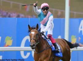 Frankie Dettori and Enable were No. 1 a remarkable 14 times in 17 races together. The star 6-year-old mare retired Monday. (Image: Sandown Park)