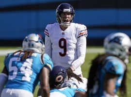 Chicago Bears QB Nick Foles surveys the defense against the Carolina Panthers. (Image: Brian Blanco/AP)