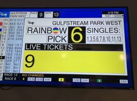 Going into Gulfstream Park West's ninth race Sunday, nine tickets were still live for the Rainbow 6. One ticket survived, good for nearly $250,000. (Image: @jasonblewitt30/Twitter)