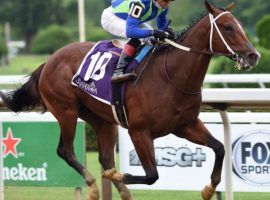 Unbeaten in three races, including this Saratoga Special win, Jackie's Warrior is the favorite for Saturday's Champagne Stakes at Belmont Park. (Image: Coglianese Photo)