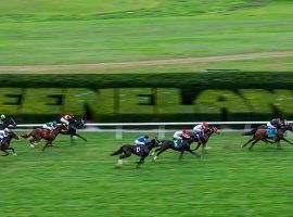 Even without spectators, Keeneland managed more than $148.2 million in handle during its just-concluded Fall Meet. It plays host to the Breeders' Cup in two weeks. (Image: David Coyle/Team Coyle)