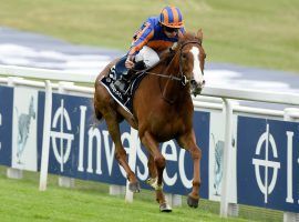 Love, seen here winning the Epsom Oaks in July, will likely race in America next. Trainer Aidan O'Brien scratched the standout 3-year-old filly from the Arc de Triomphe Thursday. (Image: Bill Selwyn/Reuters Pool)