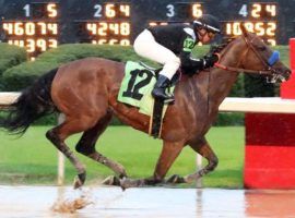 Trainer Bob Baffert's Merneith tested positive for an excessive amount of a cough syrup ingredient. (Image: Coady Photography)