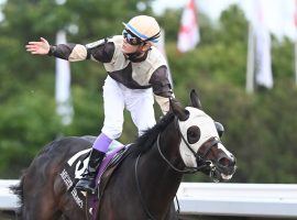 Jockey Daisuke Fukumoto and Mighty Heart raise the hopes of race fans that they can win Canada's first Triple Crown in 17 years. The one-eyed horse, who wears a ball over his missing eye, is the even-money favorite in Saturday's Breeders' Stakes at Woodbine. (Image: Nathan Denette)