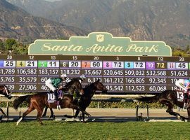 Once beleagered Santa Anita Park has not had a racing fatality in 2020. (Image: Harry How/Getty)