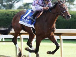 Simply Ravishing was simply dominant in winning the Alcibiades Stakes at Keeneland. She offers value and good speed figures in the Breeders' Cup Juvenile Fillies. (Image: Coady Photography)