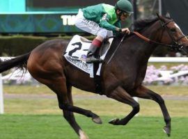 Sistercharlie won her sixth consecutive race at last year's Flower Bowl. That is one of four Grade 1 races on Belmont Park's Saturday card. (Image: Coglianese Photo/NYRA)