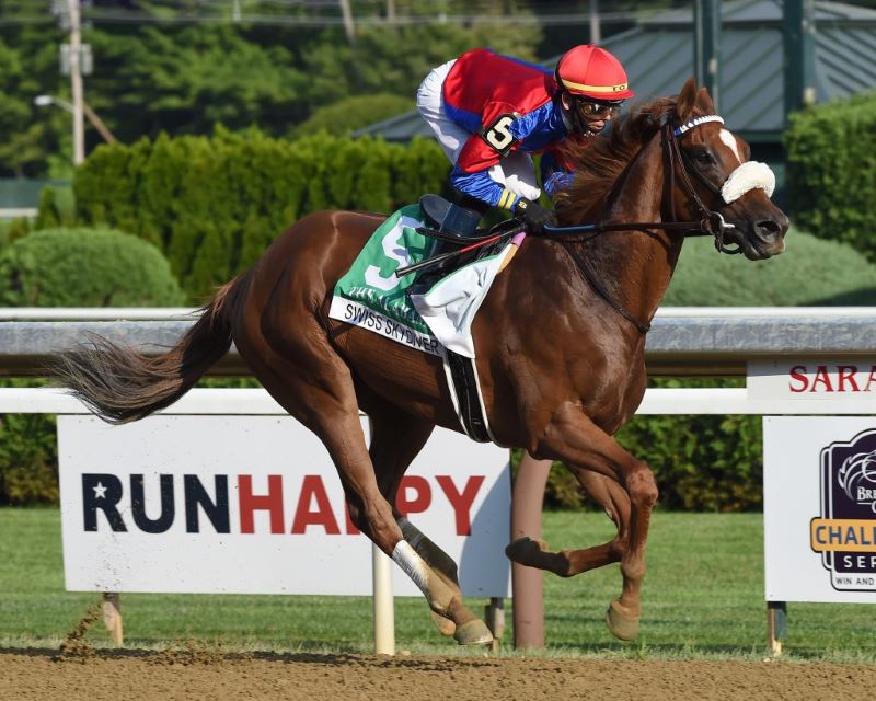 Swiss Skydiver-Preakness Preview