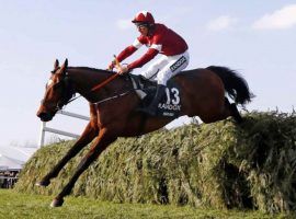 Tiger Roll is only the second horse in Grand National history to win the iconic race more than once. He returns to the track in a Flat race Thursday. (Image: World in Sport)