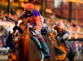 After Authentic and John Velazquez captured the Breeders' Cup Classic, the 3-year-old Kentucky Derby champion rides into retirement. He'll open the 2021 breeding season at Spendthrift Farm. (Image: Darron Cummings/AP)