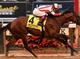 Complexity made his victory in the Champagne Stakes two years ago look easy. He's a solid 2/1 favorite in the Breeders' Cup Dirt Mile. (Image: Coglianese Photos)