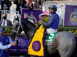 Jockey Luis Saez and Essential Quality were exactly that at last week's Breeders' Cup Juvenile. Essential Quality is the prohibitive 10/1 favorite on William Hill's Kentucky Derby Futures Board. (Image: Michael Conroy/AP)
