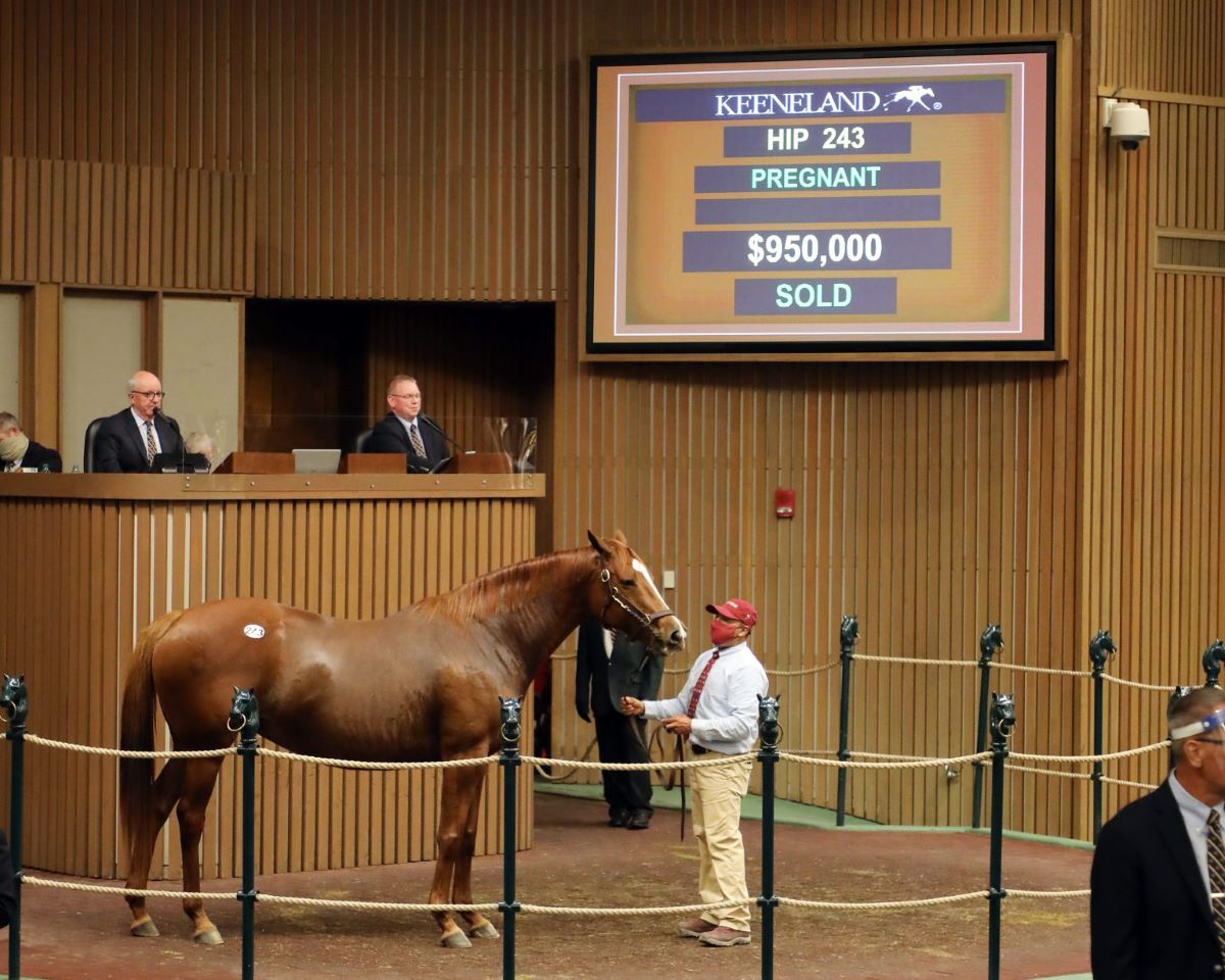 Expo Gold-Keeneland Sale