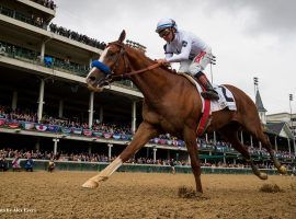 Improbable was nothing short of awesome in the Grade 1 Awesome Again Stakes. The 5/2 favorite rides into the Breeders' Cup Classic on a three-race win streak. (Image: Alex Evers)