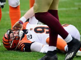 Cincinnati Bengals rookie QB Joe Burrow goes down with a season-ending knee injury. (Image: Getty)