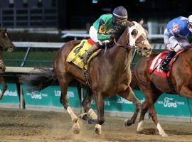 Keepmeinmind looked like a Kentucky Derby prospect with his last-to-first victory in Saturday's Kentucky Jockey Club. William Hill dropped his odds from 75/1 to 50/1. (Image: Churchill Downs)