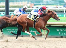 King Fury crowned himself victor in the Street Sense Stakes at Churchill Downs. He'll go for his third victory under the Twin Spires in Saturday's Grade 2 Kentucky Jockey Club. (Image: Coady Photography/Churchill Downs)