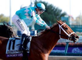 Monomoy Girl and Florent Geroux stood tall in the 2020 Breeders' Cup Distaff. just as they did in this 2018 Distaff victory. Even after selling for $9.5 million, the standout mare returns to the track in 2021. (Image: Darron Cummings/AP Photo)