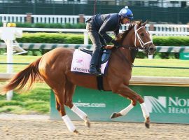 Breeders' Cup Distaff 8/5 favorite Monomoy Girl owns a running style built on versatility and acceleration. She is 3-for-3 in 2020 entering her final career race Saturday. (Image: Churchill Downs)