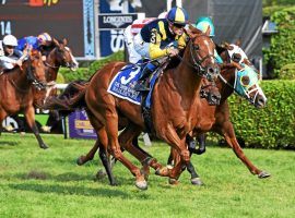 Sadler's Joy won the 2017 Sword Dancer Stakes for his lone Grade 1 win. As the 8/5 favorite, he tries defending his Red Smith Handicap title at Aqueduct Saturday. (Image: Joe Labozzeta/NYRA)