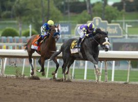 The 2020 Santa Anita Derby produced two of the top four Kentucky Derby finishers in Honor A.P. (right) and eventual Kentucky Derby winner Authentic. The 2021 Santa Anita Derby is one of 10 Grade 1 races on the Southern California track's 2020-21 winter/spring meet schedule. (Image: Benoit Photo/Associated Press