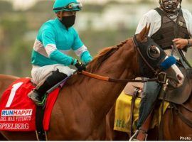 Spielberg -- the horse -- finished second in this summer's Del Mar Futurity. Expect the $1 million Bob Baffert trainee to ride the Road to the winner's circle in Sunday's Bob Hope Stakes. (Image: Benoit Photo)