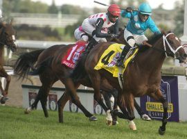 Justin Stein and Starship Jubilee's victory in the Woodbine Mile was one of Woodbine's enduring racing images this year. The Canadian flagship track closed three weeks early due to a provincial government lockdown. (Image: Michael Burns Photo)