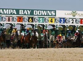 Tampa Bay Downs plans to allow spectators when its 2020-21 meet opens next week. (Image: Tampa Bay Times)