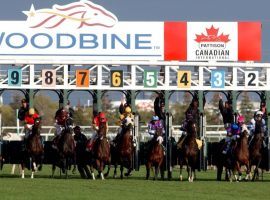 Canada's flagship track, Woodbine outside Toronto, benefited from the removal of a controversial provision in a sports betting bill. That bill is making its way through the Canadian government. (Image: Bill Selwyn)