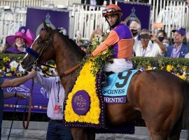 John Velazquez and Authentic sat atop the Thoroughbred world in 2020. The pair won the Breeders' Cup Classic, Kentucky Derby and three other races this year. (Image: Michael Conroy/Associated Press)