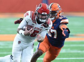N.C. State quarterback Bailey Hockman  has lit up the field the past two weeks and could have another big game against Georgia Tech this week. (Image: Raleigh News & Observer)