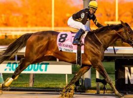 Kendrick Carmouche still hasn't come down from his first Grade 1 win, piloting True Timber to the Cigar Mile winner's circle last Saturday. Carmouche won his first NYRA riding title during Aqueduct's fall meet. (Image: Eclipse Sportswire)