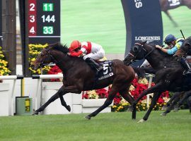 Ryan Moore and Danon Smash took the Hong Kong International Sprint by a half-length. That gave Moore the HKIR riding Grand Slam, victories in all four HKIR events. (Image: Hong Kong Jockey Club)