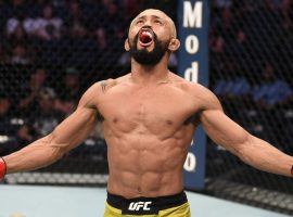 Deiveson Figueiredo will defend his flyweight title for the second time in three weeks when he battles Brandon Moreno at UFC 256. (Image: Josh Hedges/Zuffa/Getty)