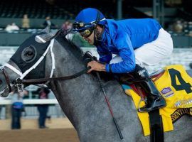 Circa Sports opened Essential Quality as the 10/1 favorite in its 2021 Kentucky Derby Futures Board. The downtown Las Vegas property went live with its Derby futures Wednesday. (Image: Godolphin)