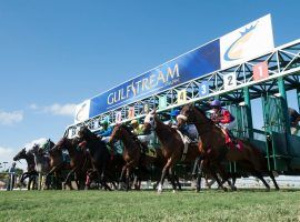 There's a good chance that Gulfstream Park races like this will start at or near post time. The Florida track wants to eliminate post-time drag -- starting races at or near schedule post times. (Image: Gulfstream Park)