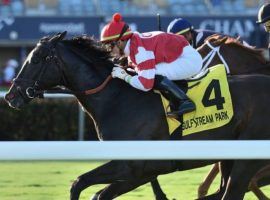 Instilled Regard won his first graded stakes race on the turf in the Ft. Lauderdale Stakes last December. He turned into a standout turf horse over his career. (Image: Ryan Thompson/Coglianese Photo)