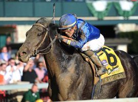 Maxfield showed plenty of tenacity in all three of his races, including this 2019 Breeders' Futurity victory. He's the 8/5 favorite for Saturda's Tenacious Stakes. (Image: Coady Photography)