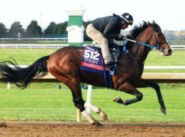 Every race thus far has been a breeze like this for Nashville. The 6/5 favorite for Saturday's Malibu Stakes at Santa Anita is 3-for-3 since September, winning his races by an average of 8 1/2 lenths. (Image: Coady Photography/Keeneland)