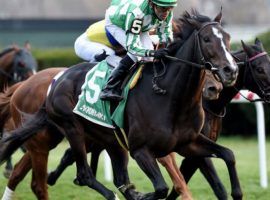 North Dakota's upset victory in the Red Smith Handicap came in a Grade 3 race. The Red Smith was one of three races promoted to Grade 2 status for 2021. (Image: Coglianese Photo)